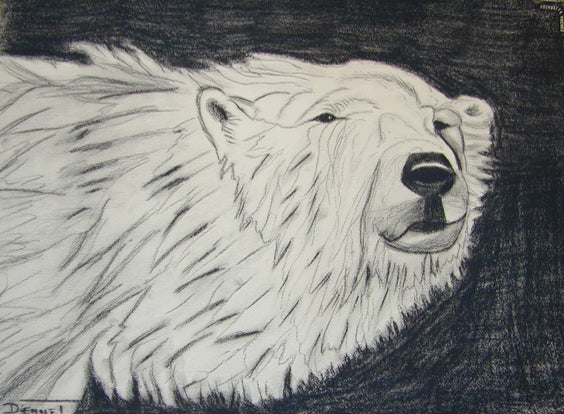 Polar Bear