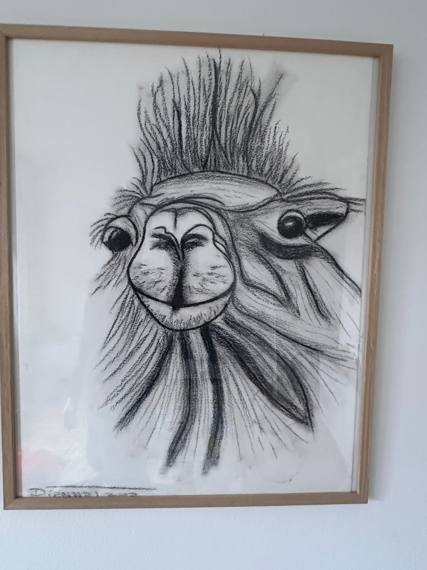 Camel