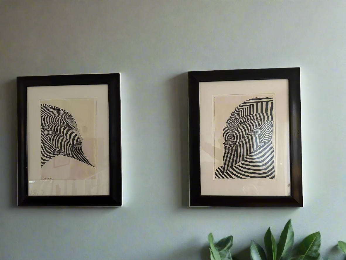 Zebra Man Z