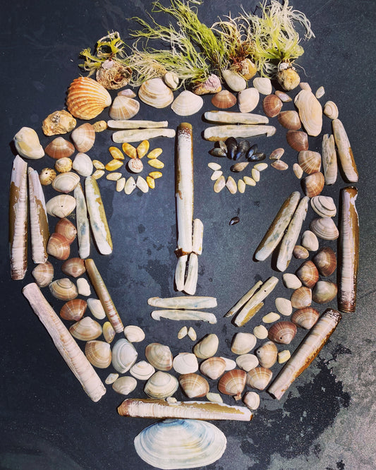 Seashell portrait